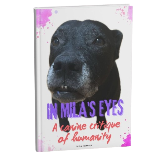 In Mila's Eyes Book